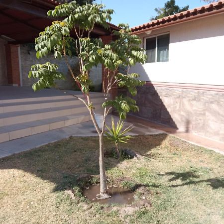 Quinta Los Arcos Villa Celaya  Exterior photo